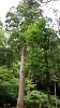camp29 (213)_thumb.png